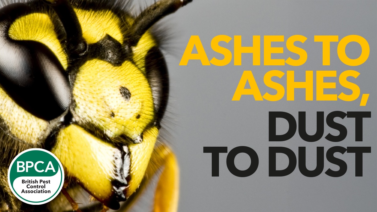 ashes dust hero ashes dust hero